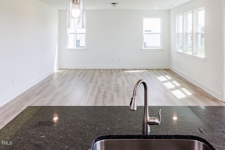 Fox Field Farms_Lot 16_Shenandoah_QMI (1