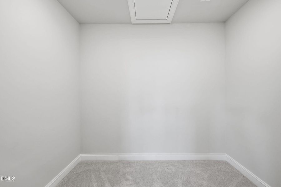 SUN_Rosedale_Pic_Tinsley-12