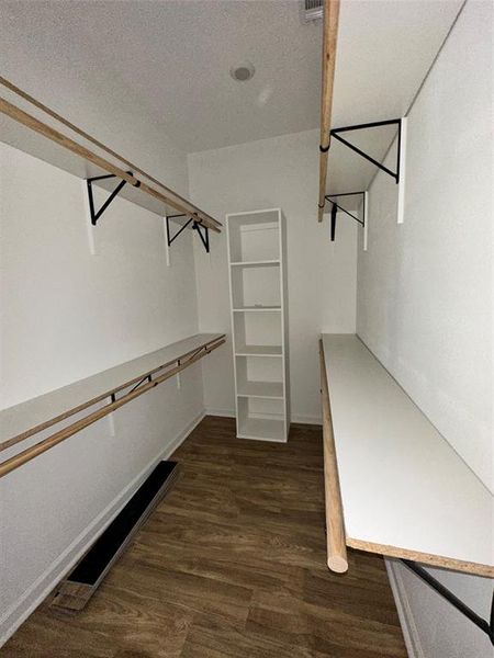 Spacious closet with dark wood-type flooring