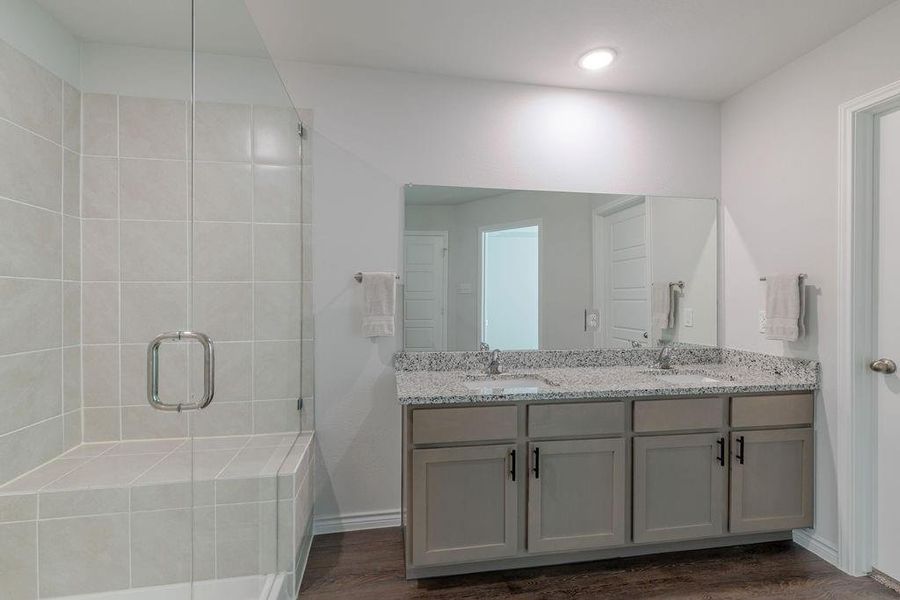 Large walk-in shower and granite counters Large walk-in shower and granite counters