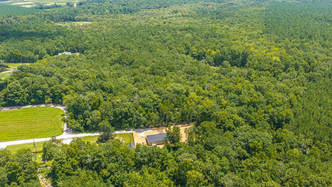 Natural landscape and outdoor views near in Cross (Image 56). Natural landscape and outdoor views near in Cross (Image 56).