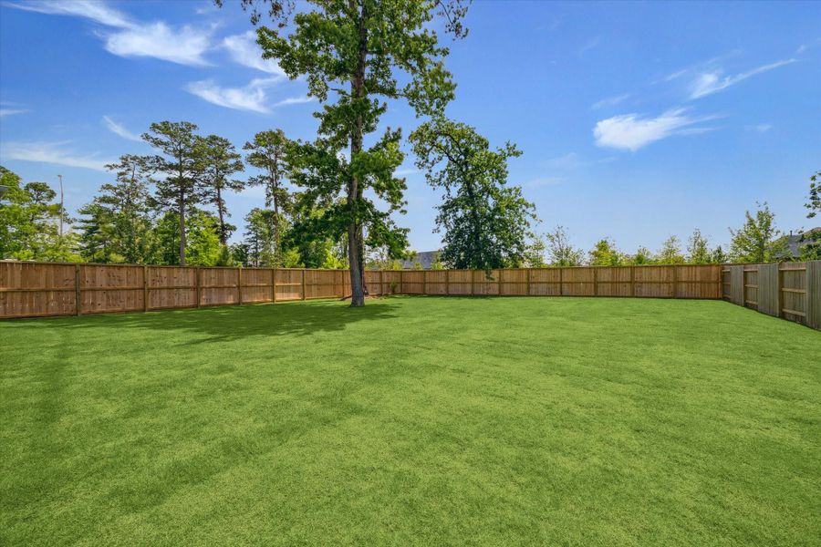 Incredible Backyard! Incredible Backyard!