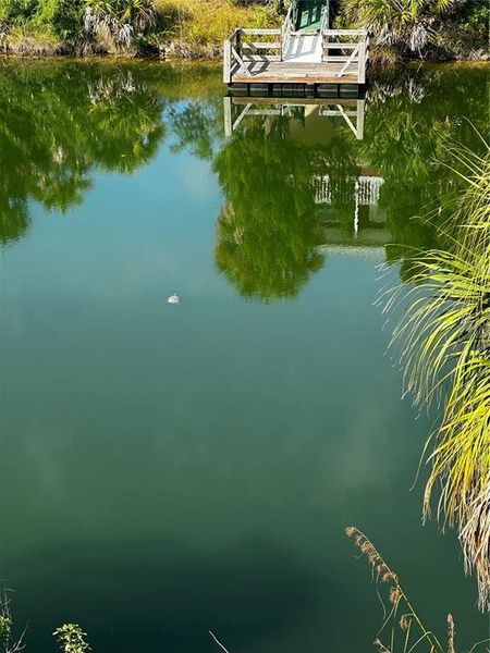 Natural landscape and outdoor views near  in Hernando Beach (Image 32).