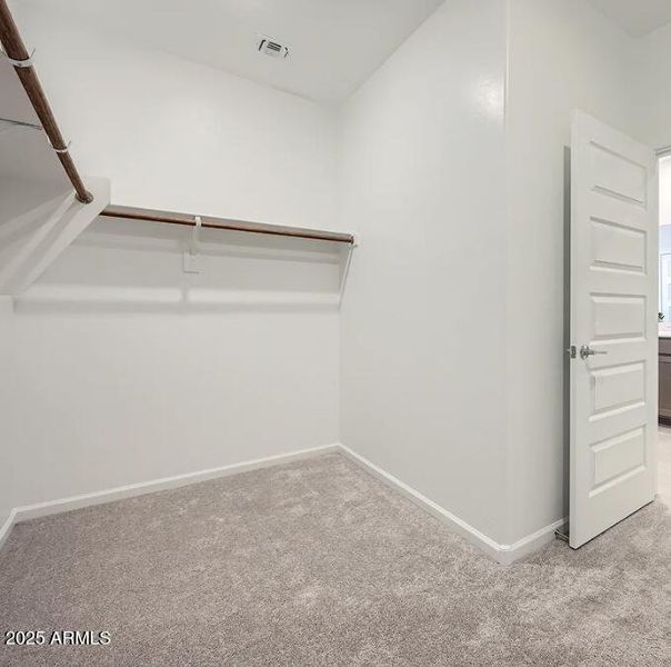 Owners Walk in Closet