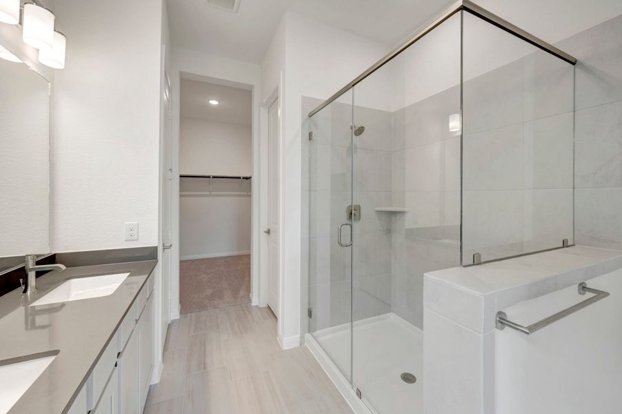 Owner's Bath