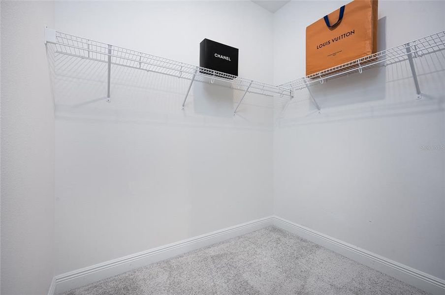 Spacious, unfurnished interior of a new home in , Palmetto (Image 36).