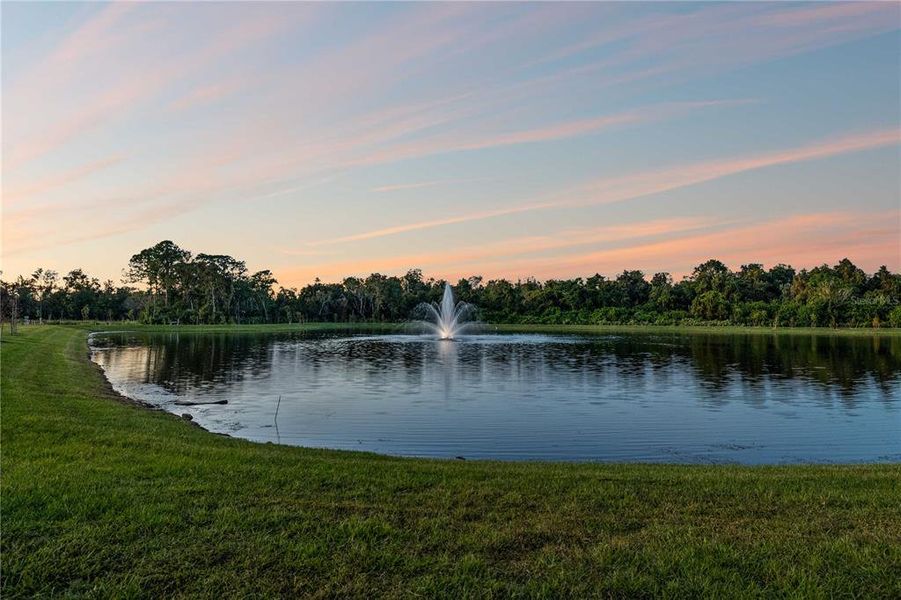 Natural landscape and outdoor views near  in Tarpon Springs (Image 47).