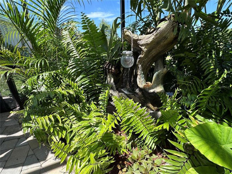 Natural landscape and outdoor views near  in Englewood (Image 36).