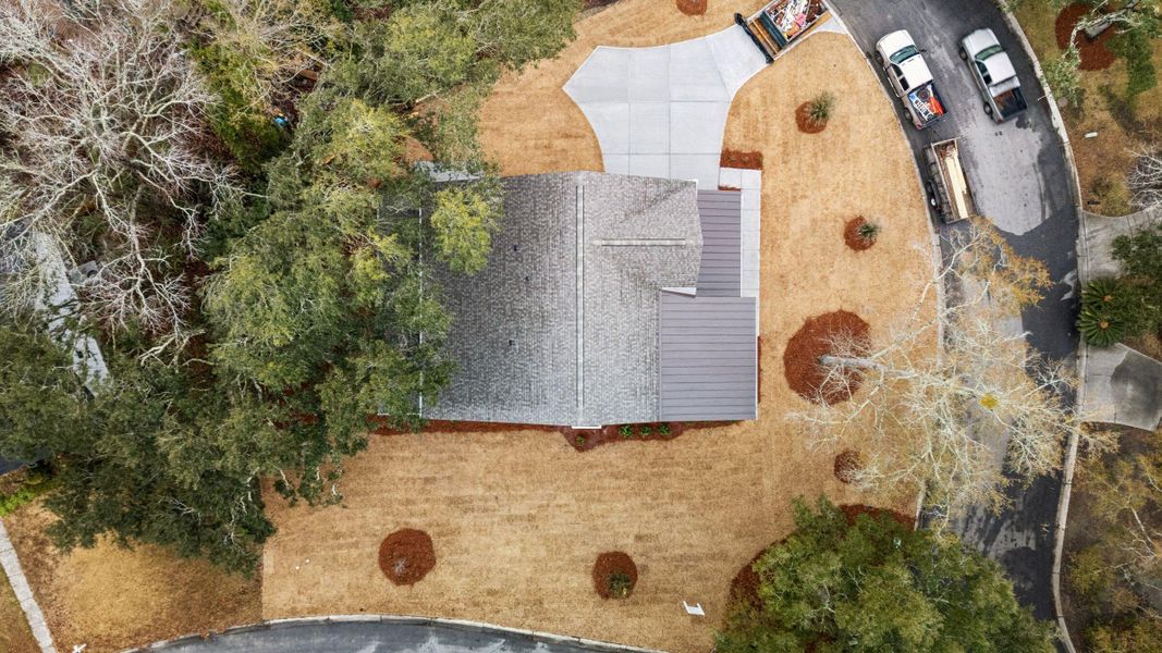 Site preparation for new homesites in , Mount Pleasant (Image 84).