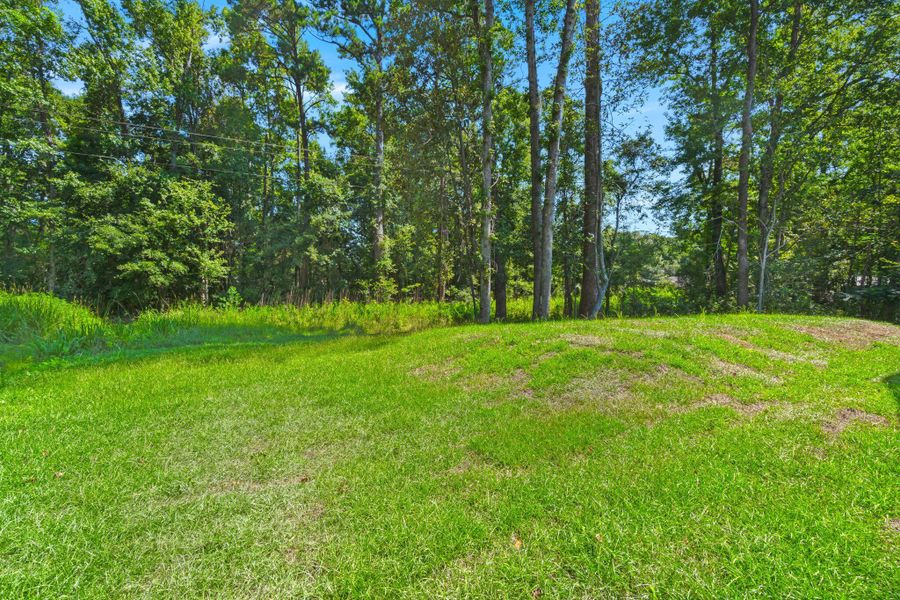 Natural landscape and outdoor views near in Ravenel (Image 28). Natural landscape and outdoor views near in Ravenel (Image 28).