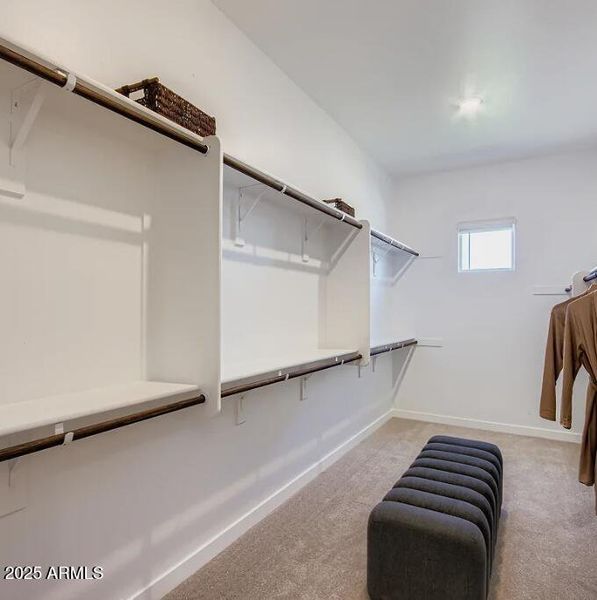 Owners Walk in Closet