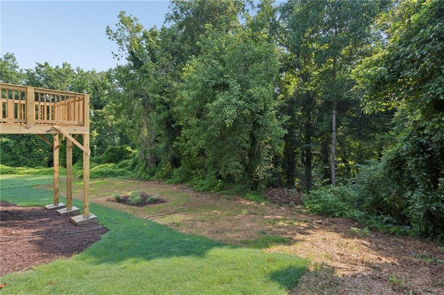 Natural landscape and outdoor views near  in Atlanta (Image 28).