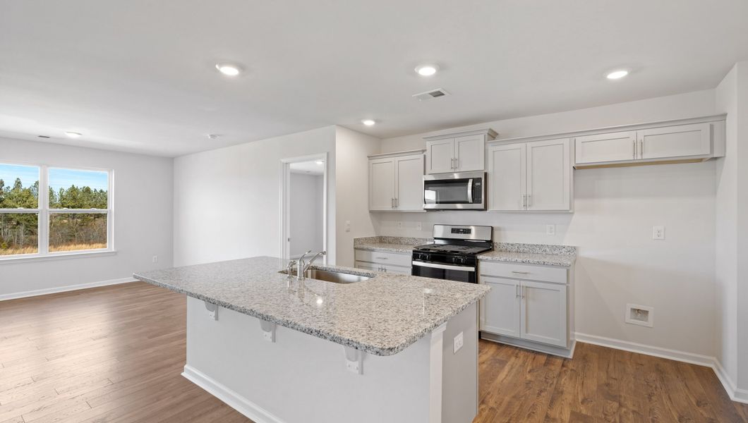 Furnished interior view inside a new home in Gibson Grove, Laurens (Image 7).