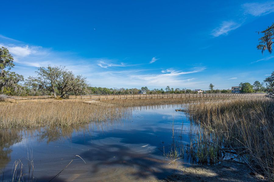 Natural landscape and outdoor views near in Johns Island (Image 77). Natural landscape and outdoor views near in Johns Island (Image 77).