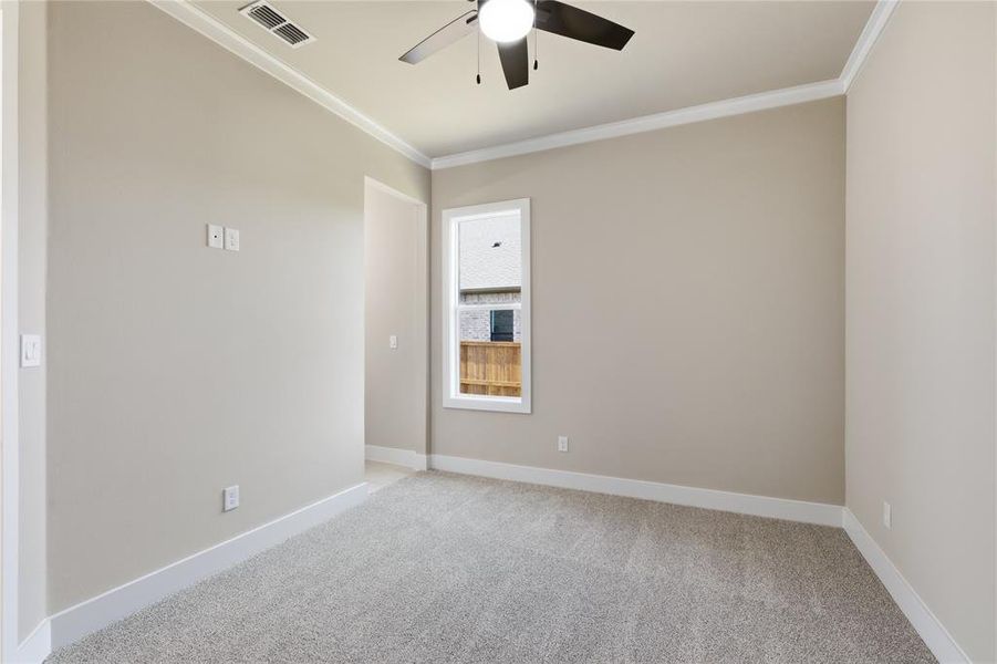Carpeted room with neutral paint, a single window, a ceiling fan with integrated lighting, white baseboards, and crown molding