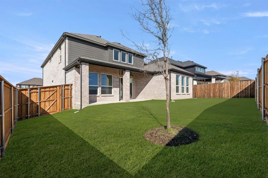 26_27. 1721 Silla - Back (2)