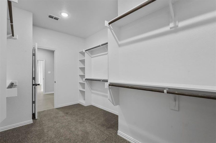 Spacious closet featuring dark carpet