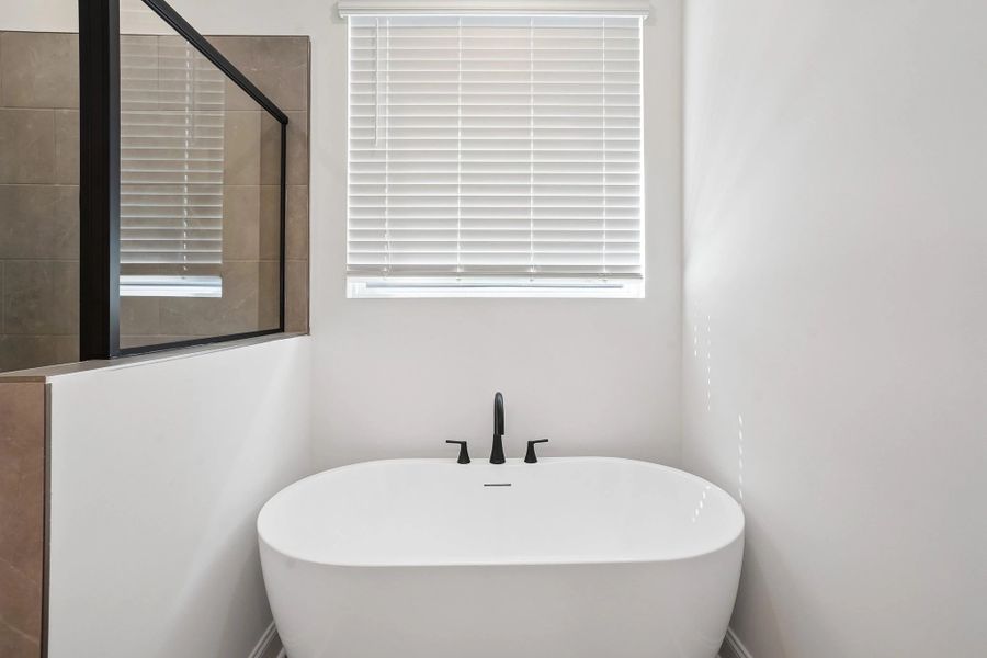 Primary Bathtub