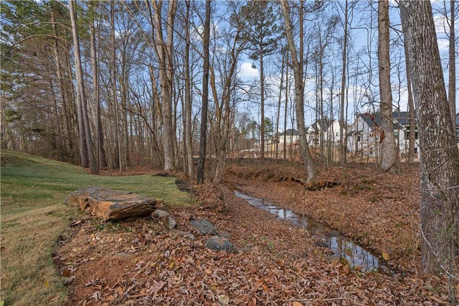Natural landscape and outdoor views near  in Villa Rica (Image 58).
