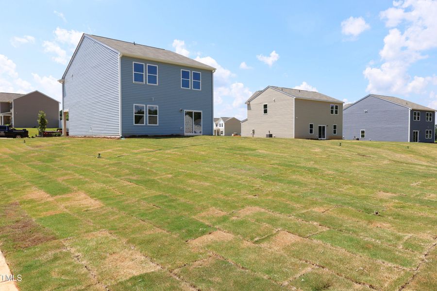 Back Depth Back Depth