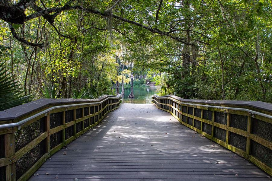 Natural landscape and outdoor views near Grand Park North in Dunnellon (Image 58). Natural landscape and outdoor views near Grand Park North in Dunnellon (Image 58).