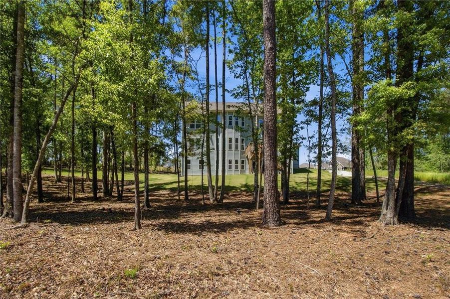Natural landscape and outdoor views near  in Newnan (Image 78).