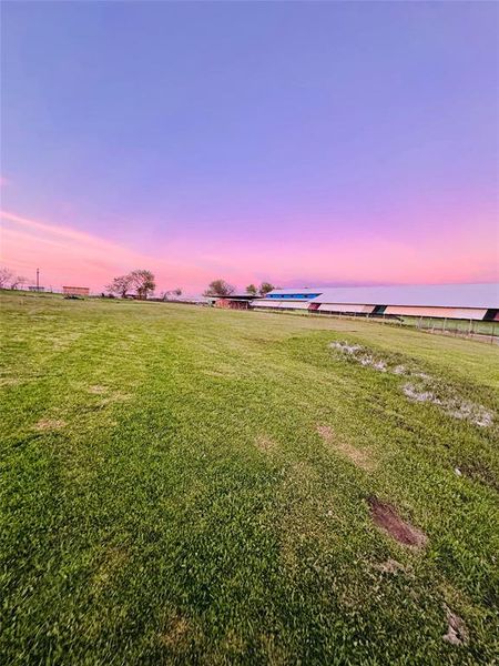 Natural landscape and outdoor views near  in Wills Point (Image 25).
