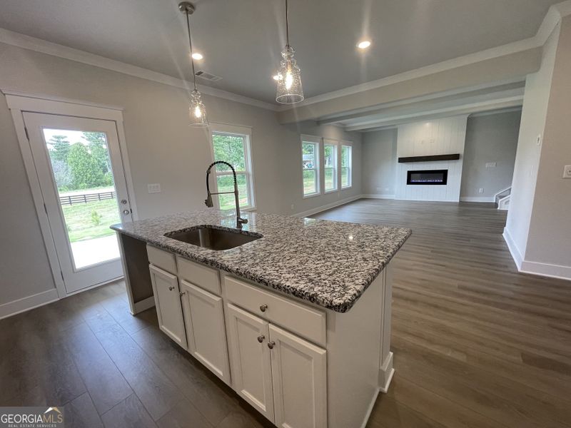 Furnished interior view inside a new home in Enclave at Logan Point, Loganville (Image 6).