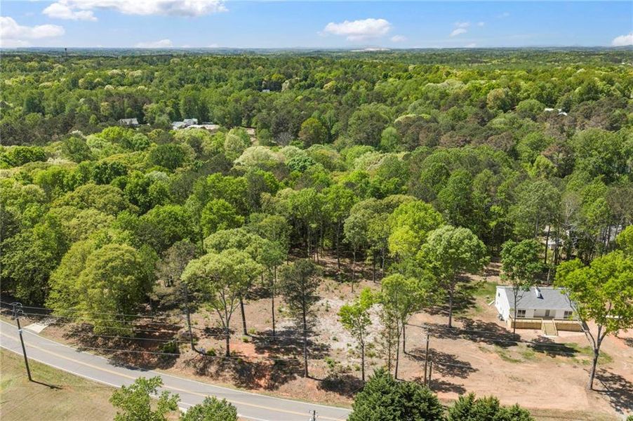 Natural landscape and outdoor views near  in Cumming (Image 21).