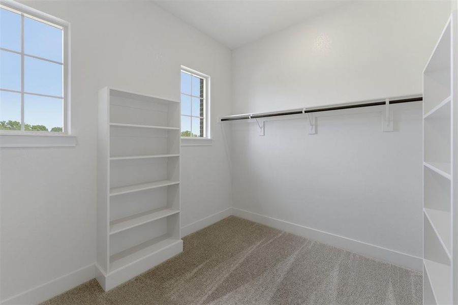 Bright interior space with carpet flooring, featuring a built-in shelving unit, a clothing rod, and two windows