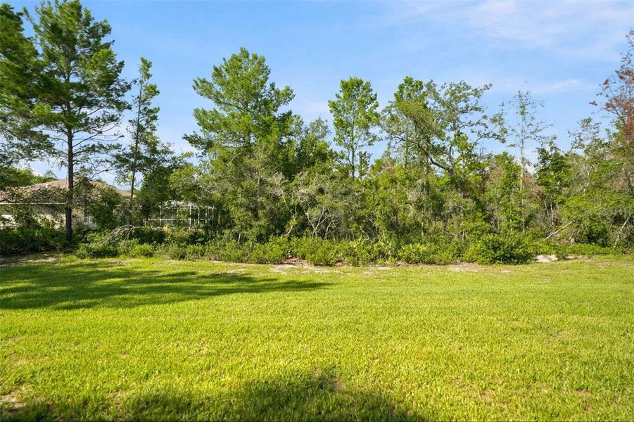 Natural landscape and outdoor views near  in Spring Hill (Image 32).