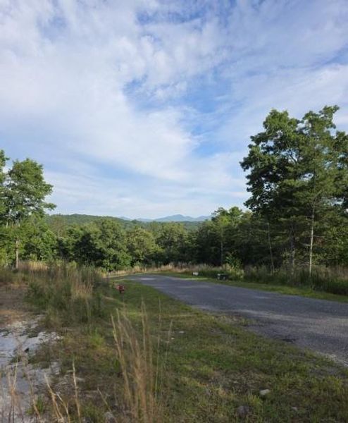 Natural landscape and outdoor views near  in Mineral Bluff (Image 33).