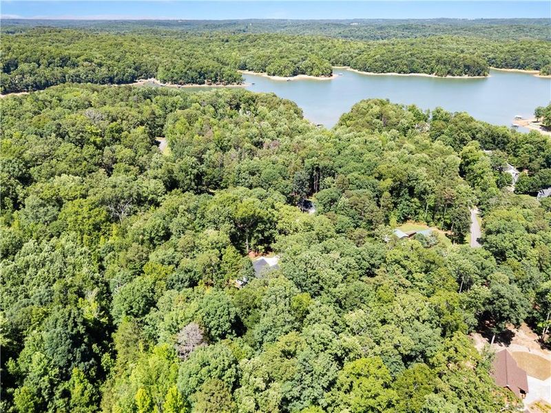 Natural landscape and outdoor views near in Martin (Image 44). Natural landscape and outdoor views near in Martin (Image 44).