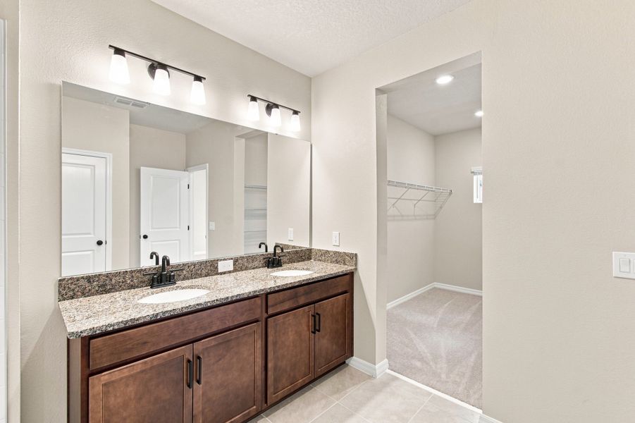 Owner's Bath