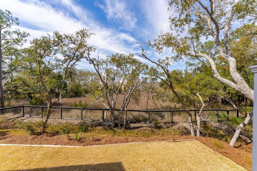 Natural landscape and outdoor views near Daniel Island Park in Charleston (Image 64).