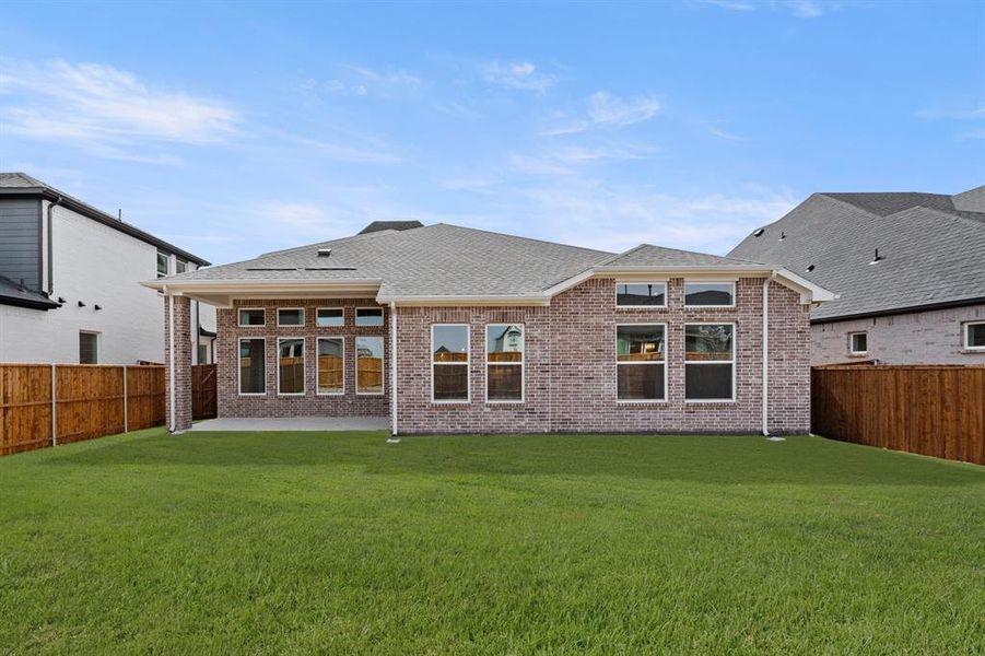 633 Bunchberry- Back-2