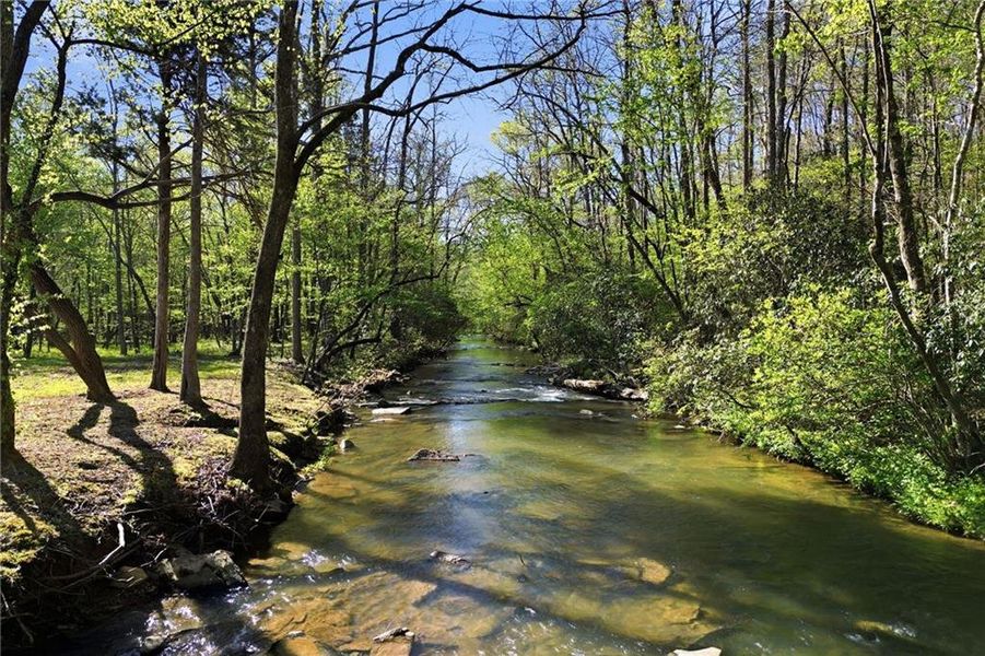 Natural landscape and outdoor views near  in Talking Rock (Image 88).
