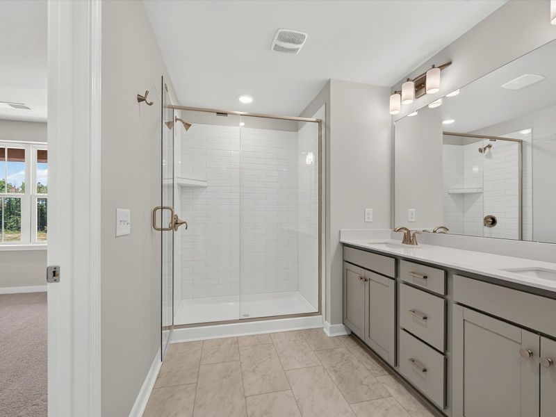 Owner's Bath
