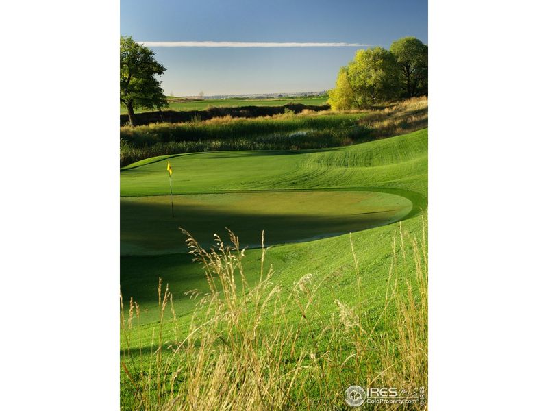 Natural landscape and outdoor views near  in Timnath (Image 42).