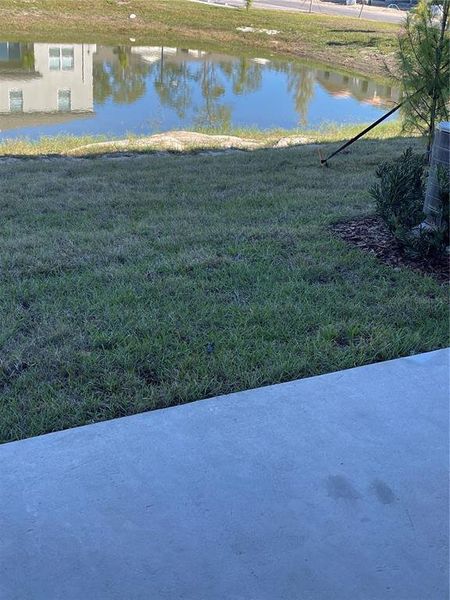 Natural landscape and outdoor views near in Zephyrhills (Image 18). Natural landscape and outdoor views near in Zephyrhills (Image 18).