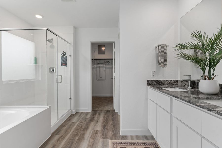 representative photo