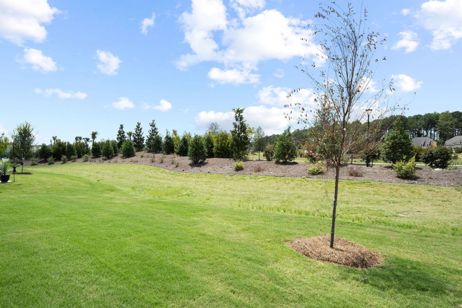 Natural landscape and outdoor views near Del Webb Savannah at Heartwood in Richmond Hill (Image 35). Natural landscape and outdoor views near Del Webb Savannah at Heartwood in Richmond Hill (Image 35).