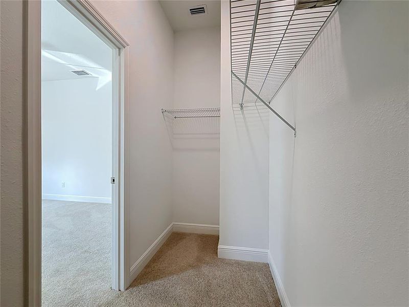 Spacious, unfurnished interior of a new home in , St. Petersburg (Image 30).