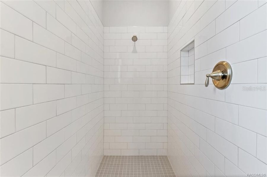 Primary bath shower with built in niche