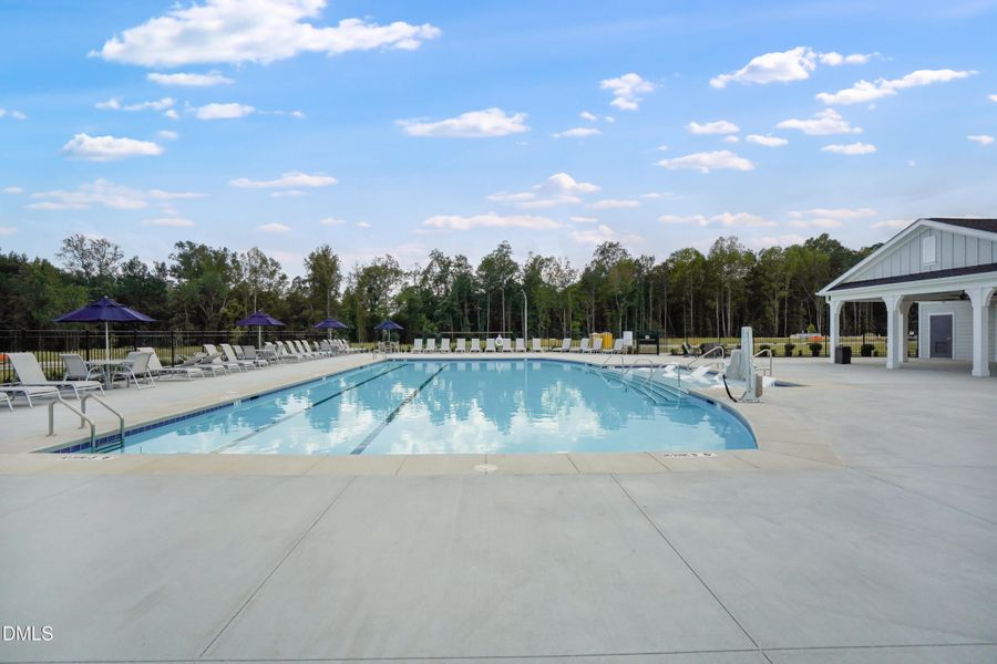 SUN_CaydenCove_Pic_Pool_05