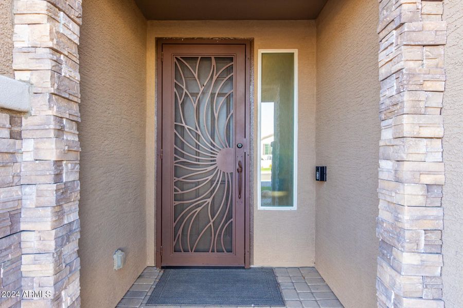 Wow what a front door!