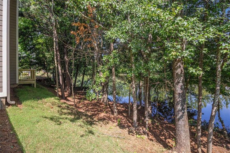 Natural landscape and outdoor views near  in Carrollton (Image 32).