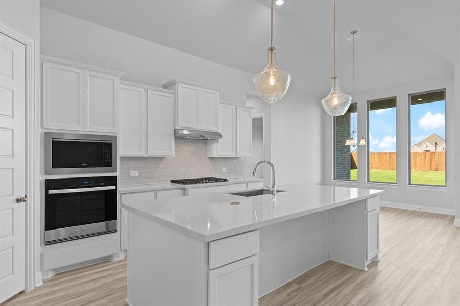 DAL_Myrtle Creek_Natalia_265 Basketflower (10)