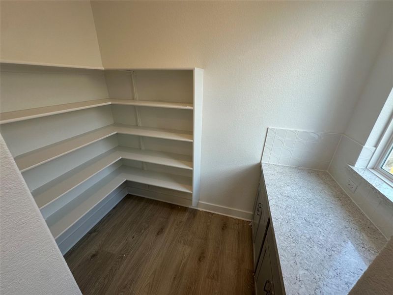 Butler's Pantry & Pantry