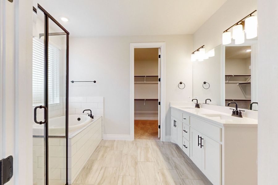 Owner's Bathroom